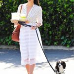 50 Organza Outfits You Should to Try Ideas 29