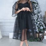 50 Organza Outfits You Should to Try Ideas 32