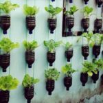 50 Ways to Reuse Plastic Bottles to Cute Planters Ideas 29