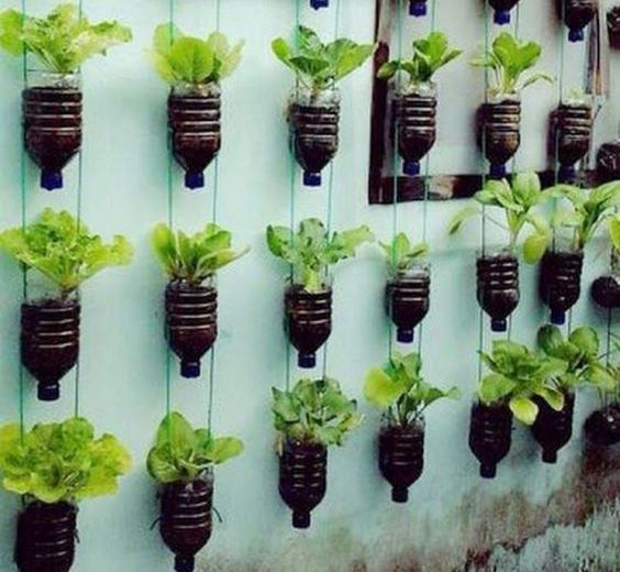 50 Ways to Reuse Plastic Bottles to Cute Planters Ideas 29