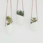 50 Ways to Reuse Plastic Bottles to Cute Planters Ideas 3