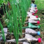 50 Ways to Reuse Plastic Bottles to Cute Planters Ideas 36