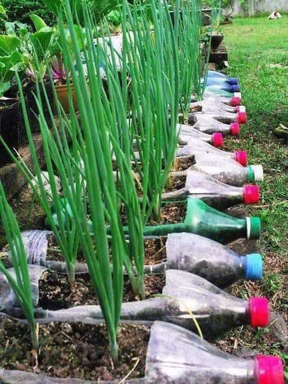 50 Ways to Reuse Plastic Bottles to Cute Planters Ideas 36