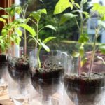 50 Ways to Reuse Plastic Bottles to Cute Planters Ideas 38