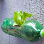 50 Ways to Reuse Plastic Bottles to Cute Planters Ideas 39