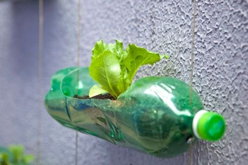50 Ways to Reuse Plastic Bottles to Cute Planters Ideas 39