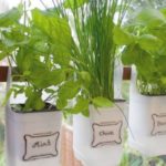 50 Ways to Reuse Plastic Bottles to Cute Planters Ideas 4