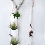 50 Ways to Reuse Plastic Bottles to Cute Planters Ideas 40