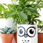 50 Ways to Reuse Plastic Bottles to Cute Planters Ideas 44