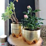 50 Ways to Reuse Plastic Bottles to Cute Planters Ideas 50