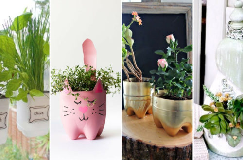 50 Ways to Reuse Plastic Bottles to Cute Planters Ideas
