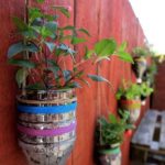 50 Ways to Reuse Plastic Bottles to Cute Planters Ideas 9