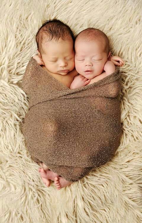 100 Cute Twins New Born Photography You Can Copy 12