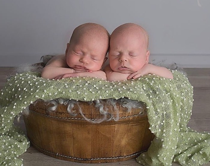 100 Cute Twins New Born Photography You Can Copy 54