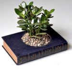 30 How to Reuse Old Book Ideas 7