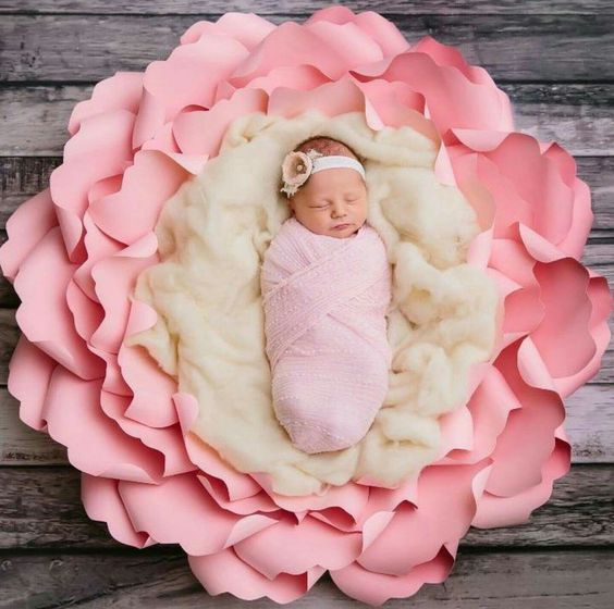 Newborn Baby Girl Photo Ideas at Lillie Marcus blog