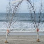 60 Beach Wedding Themed Ideas 57