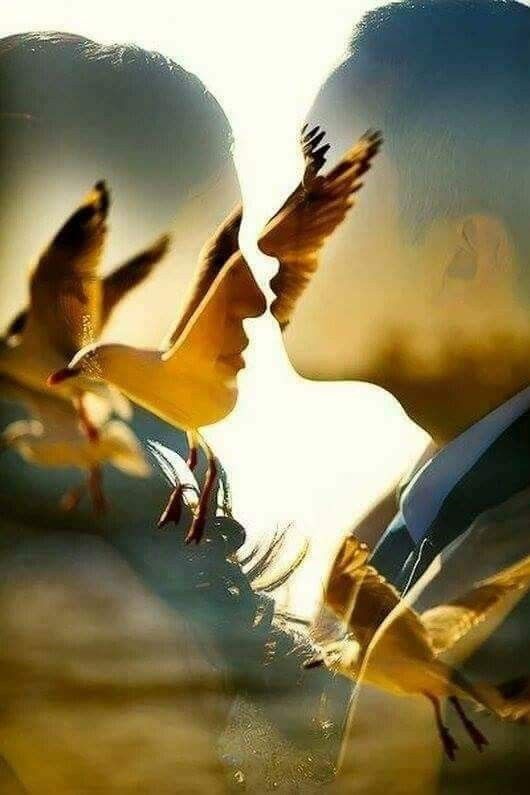 50 Romantic Wedding Double Exposure Photos Ideas 22