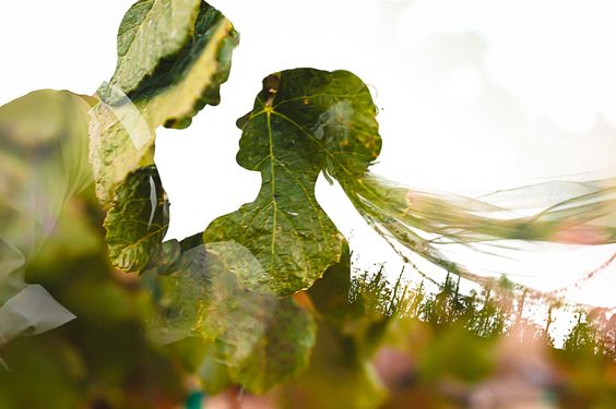 50 Romantic Wedding Double Exposure Photos Ideas 31
