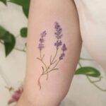 80 Stunning Small Lavender Tattoo Designs Ideas 76