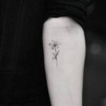 70 Meaningful Lily Tattoo Designs for Women Ideas 11