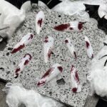 Stunning Halloween Press on Nails Medium Fake Nails for Women Ideas 17